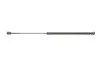 Амортизатор крышки багажника Mazda 3 03-09 STABILUS 016990 (фото 9)