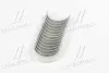 Вкладыши коренные Nissan TD42 TAIHO M096H.050 (фото 4)