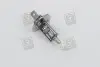 Лампа головного света H1 24V 70W &lt;&gt; TEMPEST H1 24V70W (фото 1)