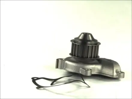 Водяний насос THERMOTEC D11028TT