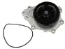 Водяний насос THERMOTEC D12089TT (фото 1)