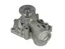 Водяний насос THERMOTEC D15047TT (фото 1)