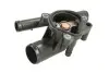 Термостат THERMOTEC D21003TT (фото 2)