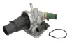 Термостат системи охолодження Fiat Doblo/Minivan, Palio, Panda THERMOTEC D28002TT (фото 1)