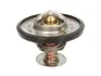 Термостат THERMOTEC D2CA001TT (фото 1)