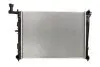 Радиатор THERMOTEC D70301TT (фото 1)