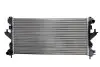 Радиатор THERMOTEC D7P063TT (фото 1)