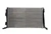 Радиатор THERMOTEC D7R051TT (фото 1)
