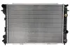 Радіатор THERMOTEC D7X033TT (фото 1)
