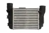 Інтеркулер THERMOTEC DAA025TT (фото 1)