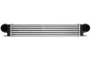 Інтеркулер THERMOTEC DAB006TT (фото 1)
