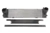 Интеркулер BMW 1 1, 2, 3 THERMOTEC DAB013TT (фото 1)