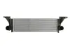 Інтеркулер iveco daily V, Daily Vi 2.3d/3.0d/Electric 09.11- THERMOTEC DAE003TT (фото 1)