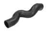 Шланг інтеркулера opel Astra G, Astra G/Kombi, Zafira A 2.0d/2.2d 08.99-10.05 THERMOTEC DCX119TT (фото 1)