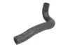 Шланг гумовий системи охолодження Нижн NISSAN QASHQAI I 1.6/2.0 02.07-12.13 THERMOTEC DW1029TT (фото 1)