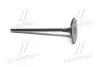 Клапан впускний Land Cruiser 12- RAV4 Camry Lexus TOYOTA 1371131101 (фото 3)