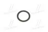 Прокладка масляного каналу ГБЦ Lexus Daihatsu TOYOTA 9043027005 (фото 3)