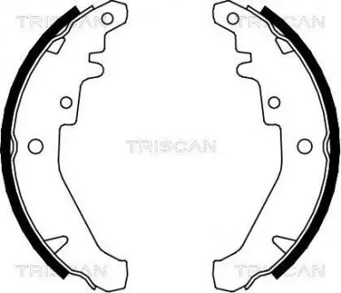 Комплект тормозных колодок TRISCAN 810015026