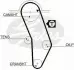 Ремень ГРМ VW Caddy/Golf/Passat/Audi 80/100 1.3-2.0 77-92 (121x18) TRISCAN 86455016 (фото 2)