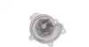 Насос воды MB Vaneo 1.6/1.7 CDI/1.9 02-05 TRUCKTEC 02.19.201 (фото 4)