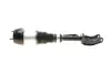 Подушка пневмоподвески (спереди) MB GL-class (X166) 12-(R) AUTOMOTIVE TRUCKTEC 02.30.369 (фото 1)