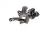 Цапфа (передняя) VW Golf IV/Skoda Octavia/Audi A3 97-05 (R) TRUCKTEC 07.31.303 (фото 9)
