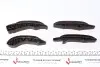 Комплект ланцюга ГРМ BMW 3 (F34)/X1 (F48)/X4 (F98) 1.5D/1.6D/2.0D 12- AUTOMOTIVE TRUCKTEC 08.12.074 (фото 2)