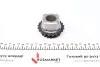 Комплект ланцюга ГРМ BMW 3 (F34)/X1 (F48)/X4 (F98) 1.5D/1.6D/2.0D 12- AUTOMOTIVE TRUCKTEC 08.12.074 (фото 7)