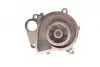 Насос воды BMW 3 (E46) 318d/320d 98-03 TRUCKTEC 08.19.058 (фото 3)