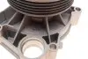 Насос воды BMW 3 (E46) 318d/320d 98-03 TRUCKTEC 08.19.058 (фото 4)