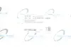 Защита диска тормозного (заднего) BMW X5 (E70/F15/F85)/X6 (E71/E72) 06- TRUCKTEC 08.35.257 (фото 8)