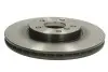 Диск тормозной (передний) BMW 2 (F44-46)/X1 (F48) 13-(307x24) TRW DF6747S (фото 1)