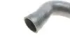 Патрубок інтеркулера Audi A3/Skoda Octavia/VW Golf IV 1.9 TDI 00-10 UCEL 65264 (фото 2)