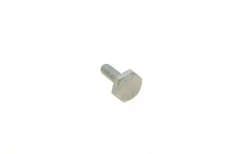 Болт М10x1,25x30 VAG N90256202