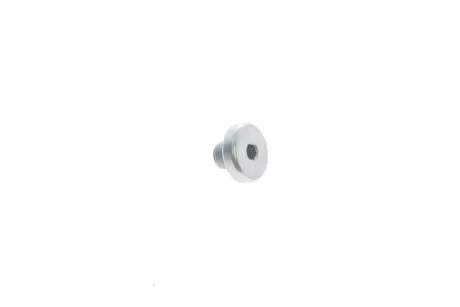 Пробка М10*9 VAG WHT005510
