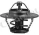 Термостат Alfa Romeo Giulia/Skoda Fabia 1.3-1.6i 74- (82 C) (jiggle-pin) Vernet TH129082J (фото 1)