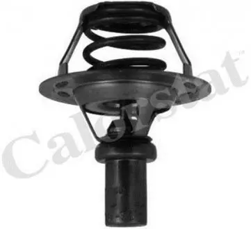 Термостат Renault 19/Clio/Rapid 1.2-1.4 88-98 (86C) Vernet TH5284.86J