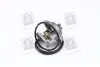 Термостат MB W201/W202/W210/S124/Sprinter/T-1 2.0-3.0 D/TD/CDI 85-07 (85C) з прокладкою Vernet TH5699.85J (фото 3)