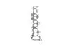 Комплект прокладок двигуна HYUNDAI Santa Fe \'\'2.2CRDI D4EB \'\'06-09 VICTOR REINZ 01-10004-01 (фото 60)