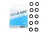 Сальник клапана (впуск/випуск) MB 601/602 OM617 2.9/3.0D 82-90 (к-кт) REINZ VICTOR REINZ 12-20315-04 (фото 2)