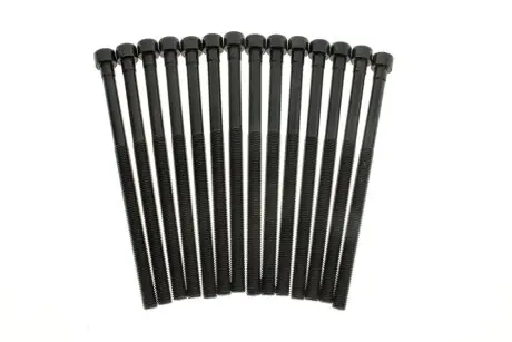 Комплект болтів гбц (14шт) BMW 3 (F30/F80)/5 (G30/F90)/X3 (G01/F97) 15- B46/B48 REINZ VICTOR REINZ 14-12261-03