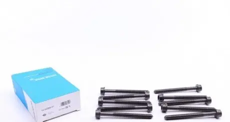 Комплект болтів з головкою системи TORX з чорного металу VICTOR REINZ 14-32383-01