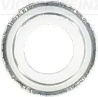 Уплотнительное кольцо, стержень кла VICTOR REINZ 702579200