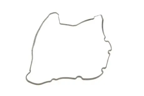 Прокладка крышки клапанов Fiat Scudo 2.0JTD, DW10/DW12 VICTOR REINZ 71-34404-00