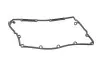Прокладка кришки клапанів VW Caddy/T5 1.9TDI 03- Vika 11030427901 (фото 1)