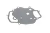 Прокладка фільтра масляного Audi A6/ Q5/Q7/ VW Touareg 3.0 V6 TDI 04-18 Vika 11151789401 (фото 1)