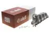 Коллектор впускной VW Passat/Golf 2.0TDI 05-10 Vika 11291785701 (фото 2)