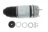 Подушка пневмопідвіски (спереду) VW Touareg 10-18 (R) Vika 46160002001 (фото 1)