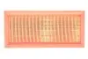 Фильтр воздушный VW /AP013 (WIX-Filtron UA) WIX FILTERS WA6176 (фото 1)