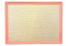 Фильтр воздушный Renault Master/Opel Movano/Nissan Interstar 3.0DCI 03- WIX FILTERS WA9519 (фото 1)